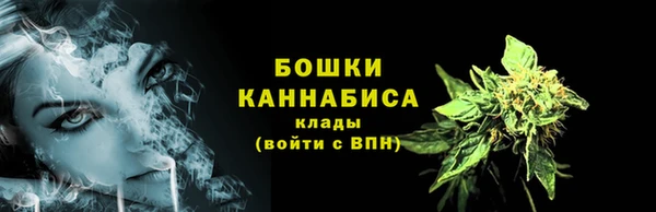 МДПВ Надым