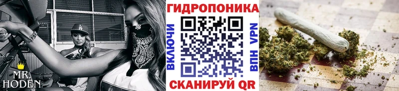 купить наркотик  Щёлково  Шишки марихуана индика 