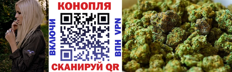 Каннабис OG Kush Щёлково